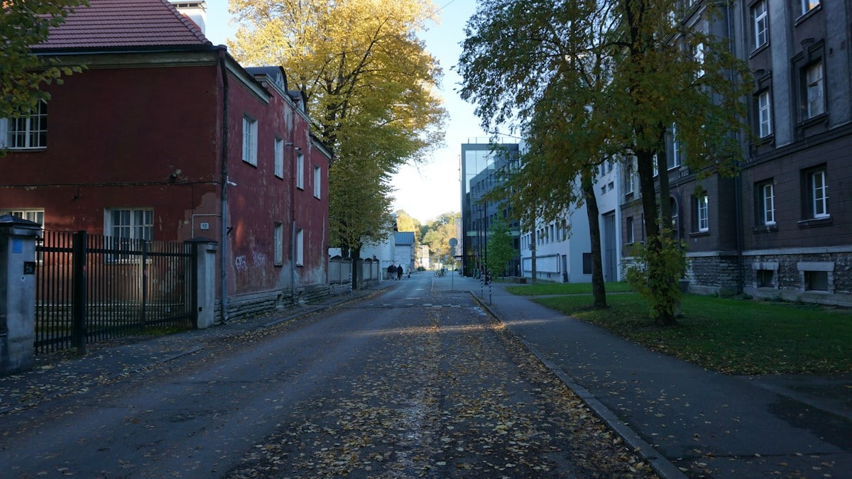 Kuidas alustada tervislikku eluviisi